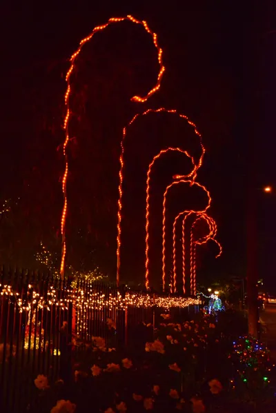 DSC_5780 (Large).JPG